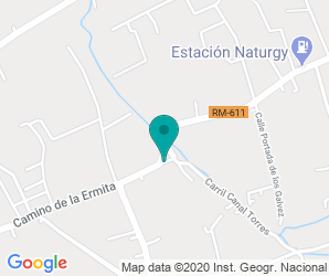 Localización de Colegio Escultor Salzillo