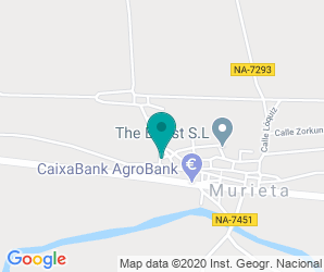 Localización de Colegio Murieta