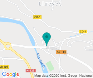 Localización de IES Rey Pelayo