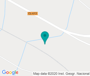 Localización de Colegio Alonso De Berruguete