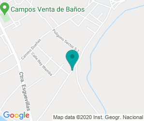 Localización de Instituto Recesvinto