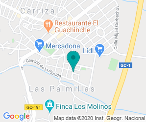 Localización de IES Carrizal