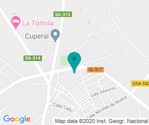 Localización de Instituto Ramos Del Manzano