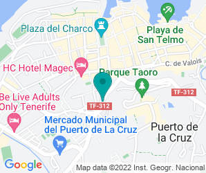 Localización de IES Puerto De La Cruz: Telesforo Bravo