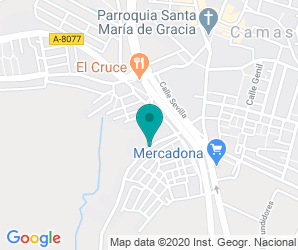 Localización de Colegio Virgen De Guadalupe