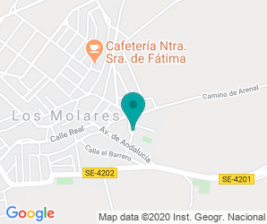 Localización de Colegio San Juan De Ribera