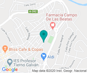 Localización de Instituto Profesor Tierno Galván