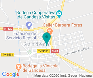 Localización de Colegio Puig Cavaller