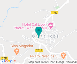 Localización de Colegio Llicorella - Zer L