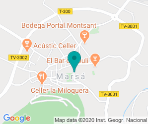 Localización de Colegio Anicet Villar - Zer Les Vinyes