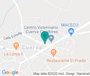 Localización de Colegio Soledad Alonso Dorado