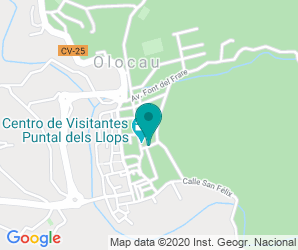 Localización de Colegio Alt CarraIXet
