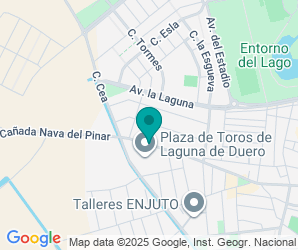 Localización de Colegio Ntra.Sra.del Villar