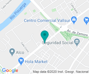 Localización de Colegio Alonso Berruguete