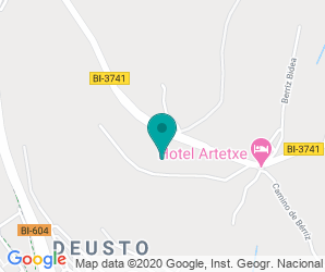 Localización de Colegio IntXIsu Ikastola