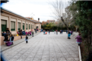Colegio Diocesano Maria Inmaculada Joaquín Turina: Colegio Concertado en Madrid,Infantil,Primaria,Secundaria,Bachillerato,Católico,