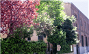 Colegio Dulce Nombre de Jesús: Colegio Concertado en Madrid,Infantil,Primaria,Católico,