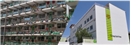 Centro Luis Vives: Colegio Privado en PALMA,Infantil,Primaria,Secundaria,Bachillerato,