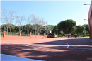 Colegio San Francisco: Colegio Concertado en MADRID,Secundaria,Bachillerato,Católico,