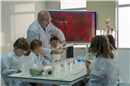 Colegio Internacional SEK Santa Isabel: Colegio Privado en Madrid,Infantil,Primaria,Inglés,Francés,Alemán,Laico,