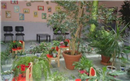 Colegio Santa Maria De Los Pinos: Colegio Concertado en MADRID,Infantil,Primaria,Secundaria,Bachillerato,