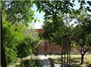 Colegio Amadeo Vives: Colegio Público en MADRID,Infantil,Primaria,