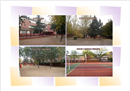 Colegio Jose Maria De Pereda: Colegio Público en MADRID,Infantil,Primaria,