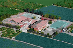 Colegio Virgen De Los Desamparados: Colegio Público en Orihuela - Los Desamparados,Infantil,Primaria,Educación Especial,Laico,
