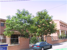 Centro Cervantes: Colegio Concertado en MADRIDEJOS,Infantil,Primaria,Secundaria,Bachillerato,