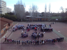 Colegio Parroco Don Victoriano: Colegio Público en Alcorcón,Infantil,Primaria,Laico,