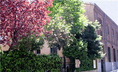 Colegio Dulce Nombre de Jesús: Colegio Concertado en Madrid,Infantil,Primaria,Católico,