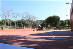 Colegio San Francisco: Colegio Concertado en MADRID,Secundaria,Bachillerato,Católico,