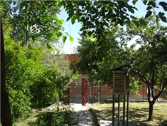 Colegio Amadeo Vives: Colegio Público en MADRID,Infantil,Primaria,
