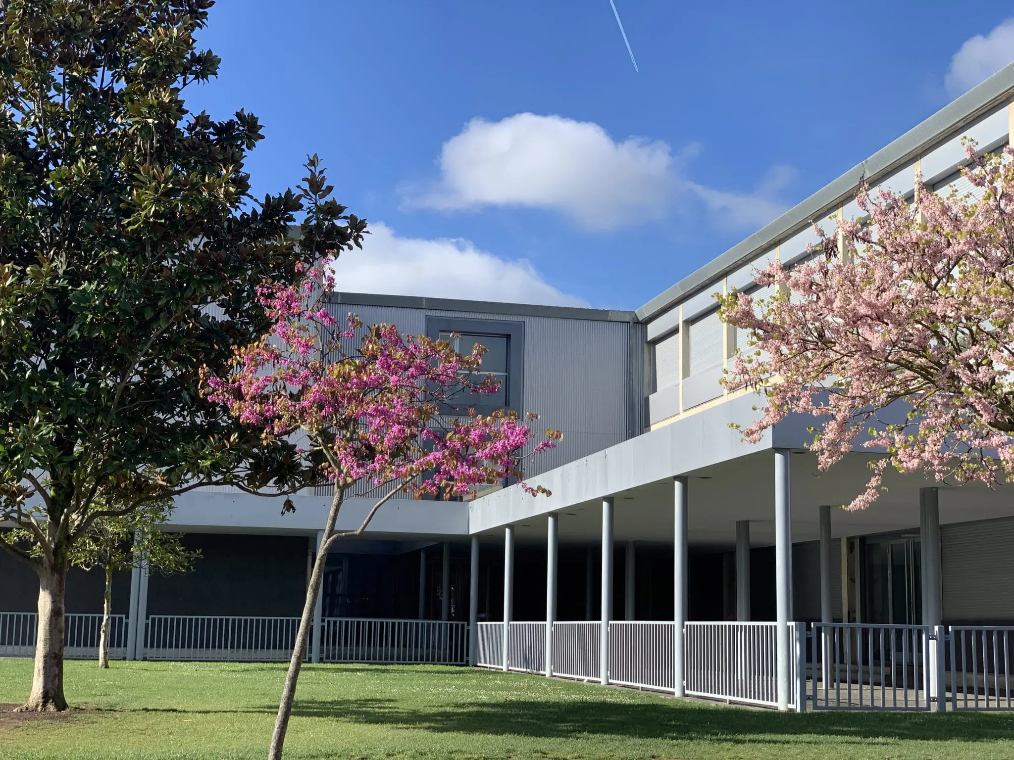Colegio de Fomento Miravalles-El Redín: Colegio Concertado en Cizur Menor,Infantil,Primaria,Secundaria,Bachillerato,Inglés,Francés,Católico,