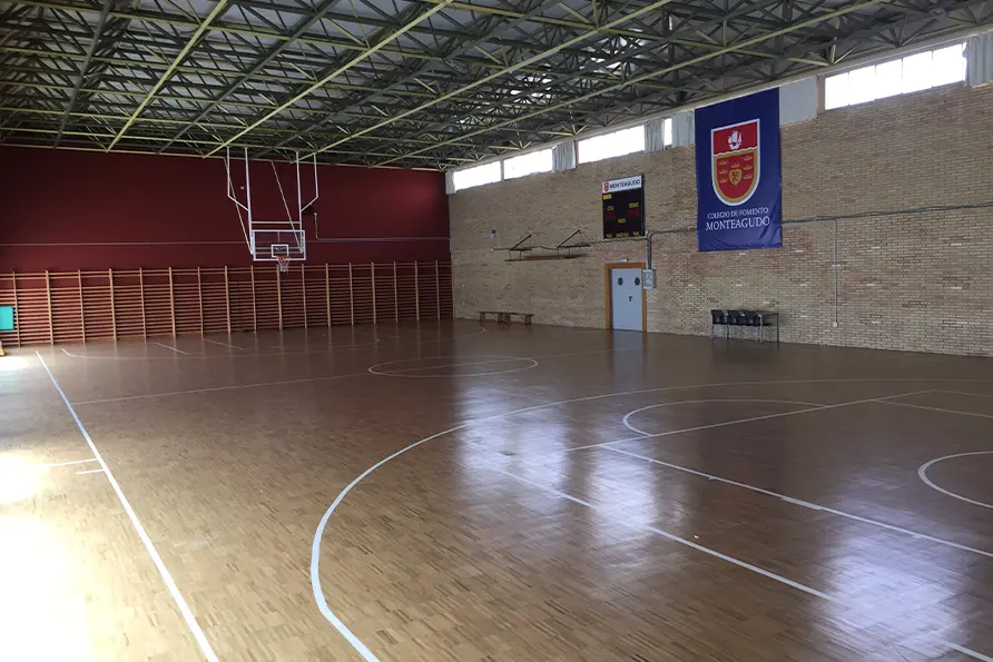 Colegio de Fomento Monteagudo-Nelva: Colegio Concertado en Murcia,Infantil,Primaria,Secundaria,Bachillerato,Inglés,Francés,Alemán,Católico,