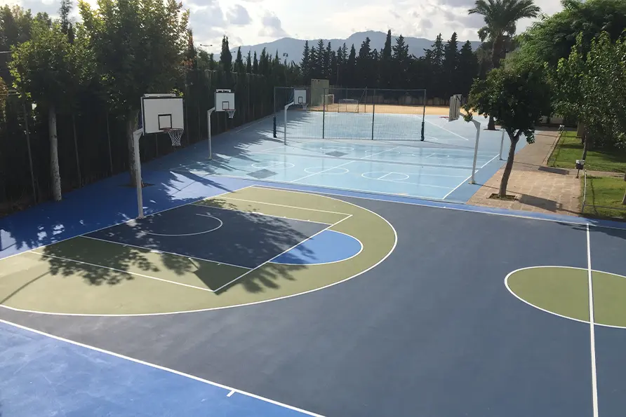 Colegio de Fomento Monteagudo-Nelva: Colegio Concertado en Murcia,Infantil,Primaria,Secundaria,Bachillerato,Inglés,Francés,Alemán,Católico,