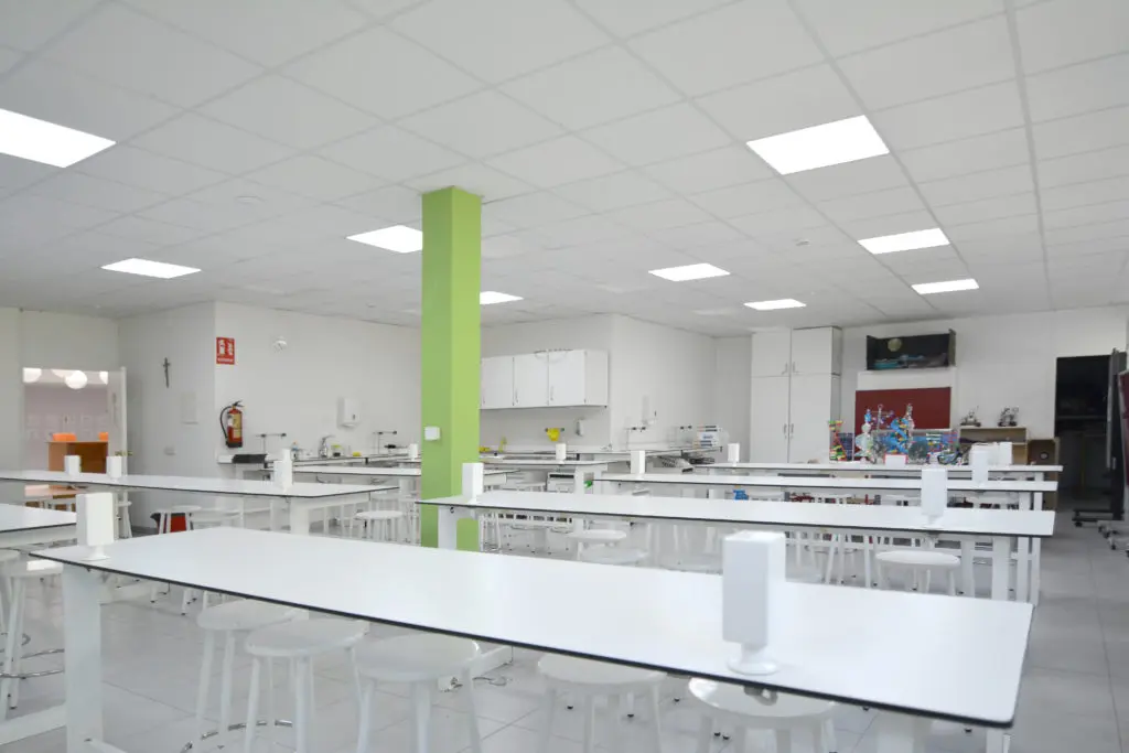 Colegio de Fomento Montealto: Colegio Privado en Madrid,Infantil,Primaria,Secundaria,Bachillerato,Inglés,Francés,Alemán,Católico,