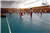 Colegio Tajamar: Colegio Concertado en MADRID,Infantil,Primaria,Secundaria,Bachillerato,Ciclos formativos de Grado Medio,Ciclos formativos de Grado Superior,Inglés,Católico,