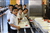 Colegio Tajamar: Colegio Concertado en MADRID,Infantil,Primaria,Secundaria,Bachillerato,Ciclos formativos de Grado Medio,Ciclos formativos de Grado Superior,Inglés,Católico,